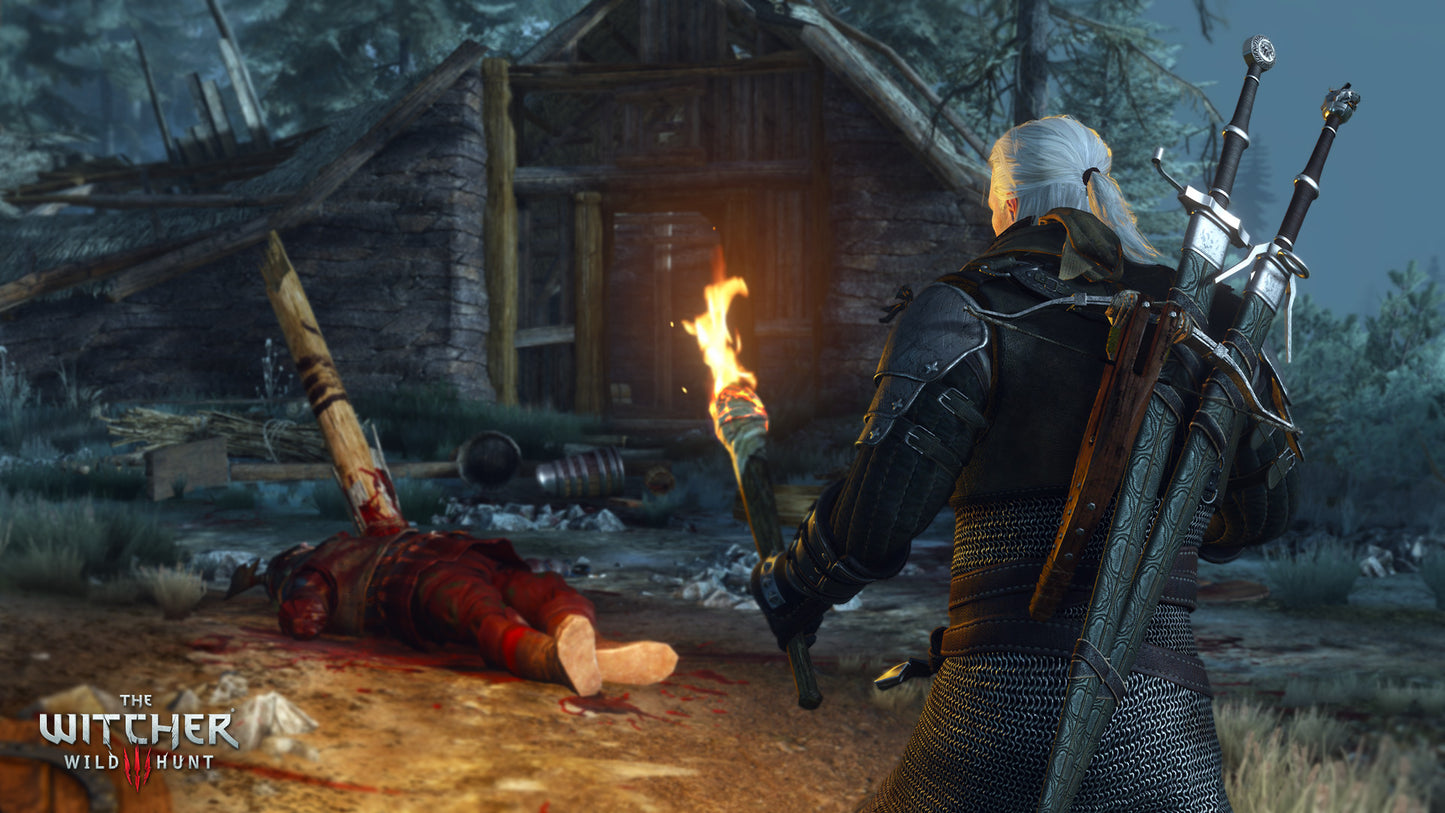 The Witcher 3: Wild Hunt - Screenshot 6