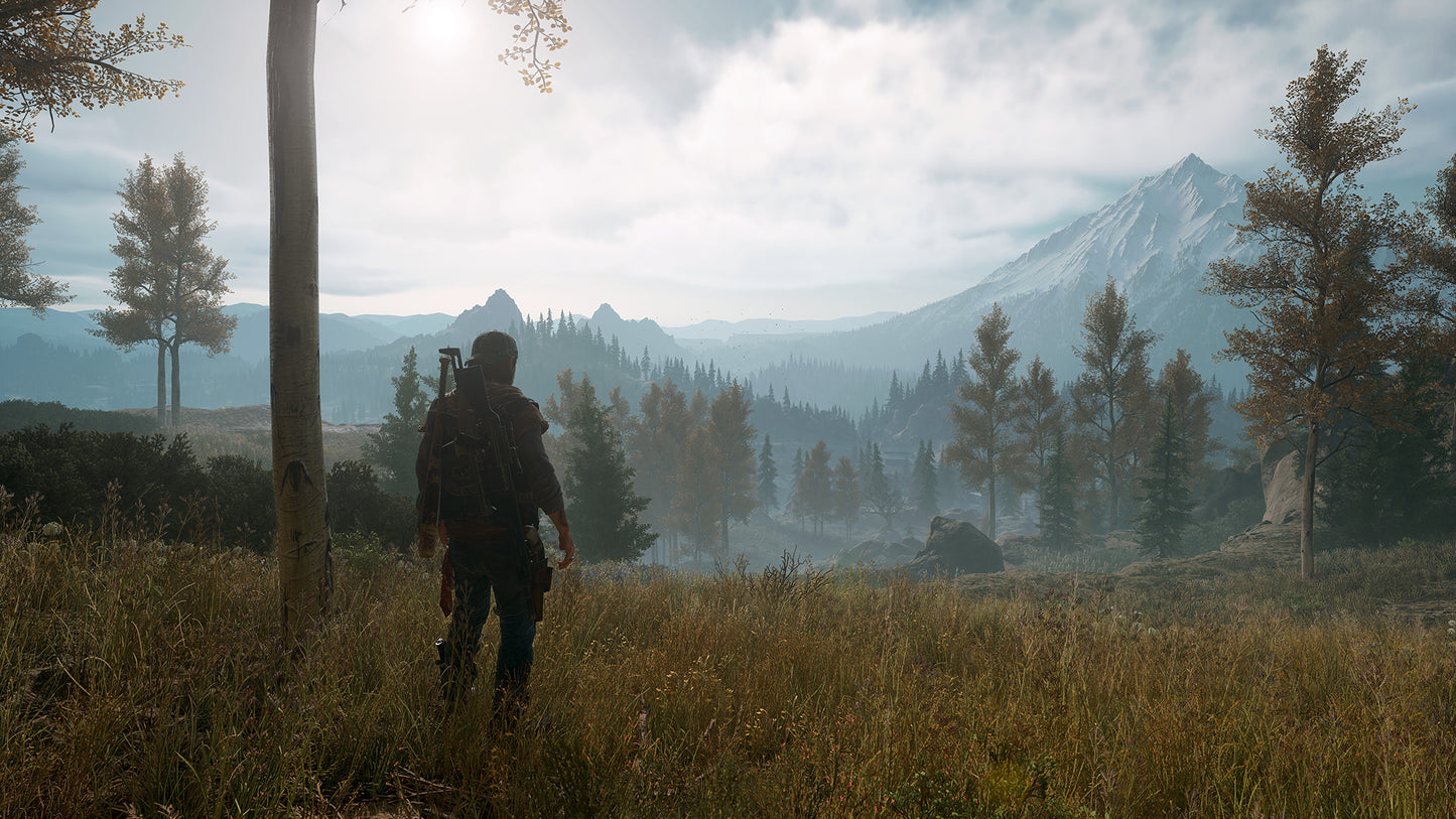 Days Gone - Screenshot 6