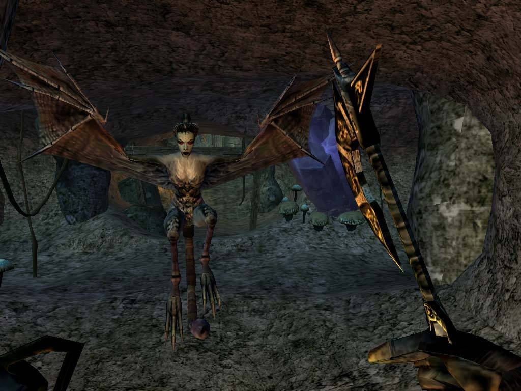 The Elder Scrolls III: Morrowind® Game of the Year Edition – Mídia Digital (Steam/PC)