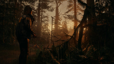 Alan Wake 2 – Mídia Digital (PS5)