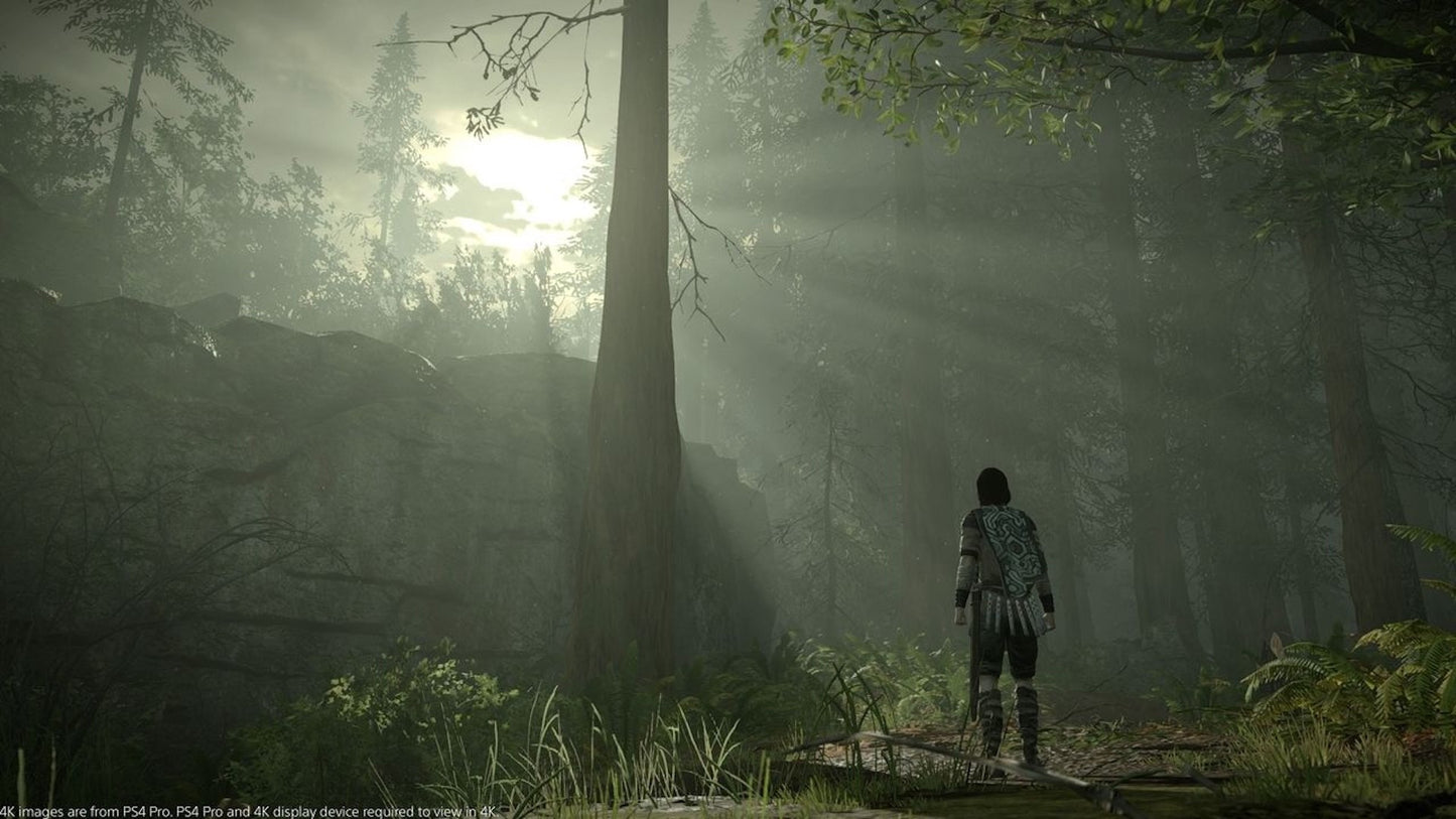 Shadow of the Colossus – Mídia Digital (PS4/PS5)