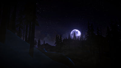 The Long Dark – Mídia Digital (Steam/PC)