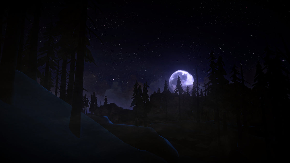 The Long Dark – Mídia Digital (Steam/PC)
