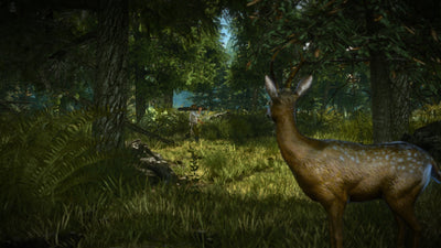 The Witcher 2: Assassins of Kings Enhanced Edition – Mídia Digital (Steam/PC)