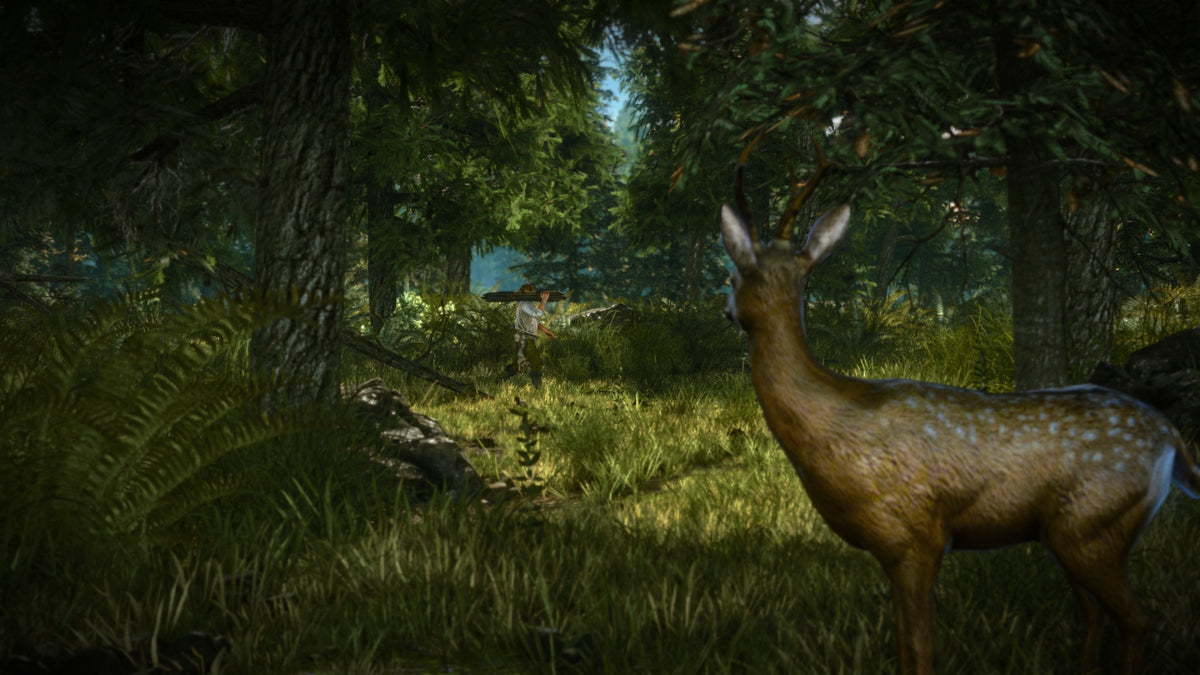 The Witcher 2: Assassins of Kings Enhanced Edition – Mídia Digital (Steam/PC)