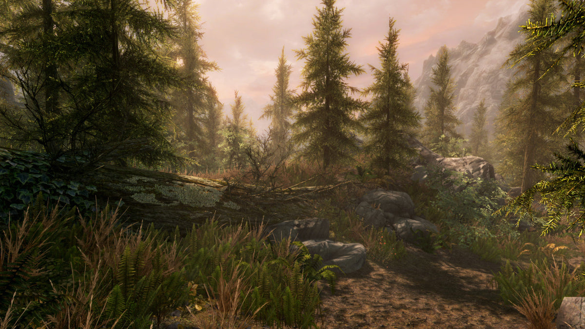 The Elder Scrolls V: Skyrim Special Edition – Mídia Digital (Steam/PC)