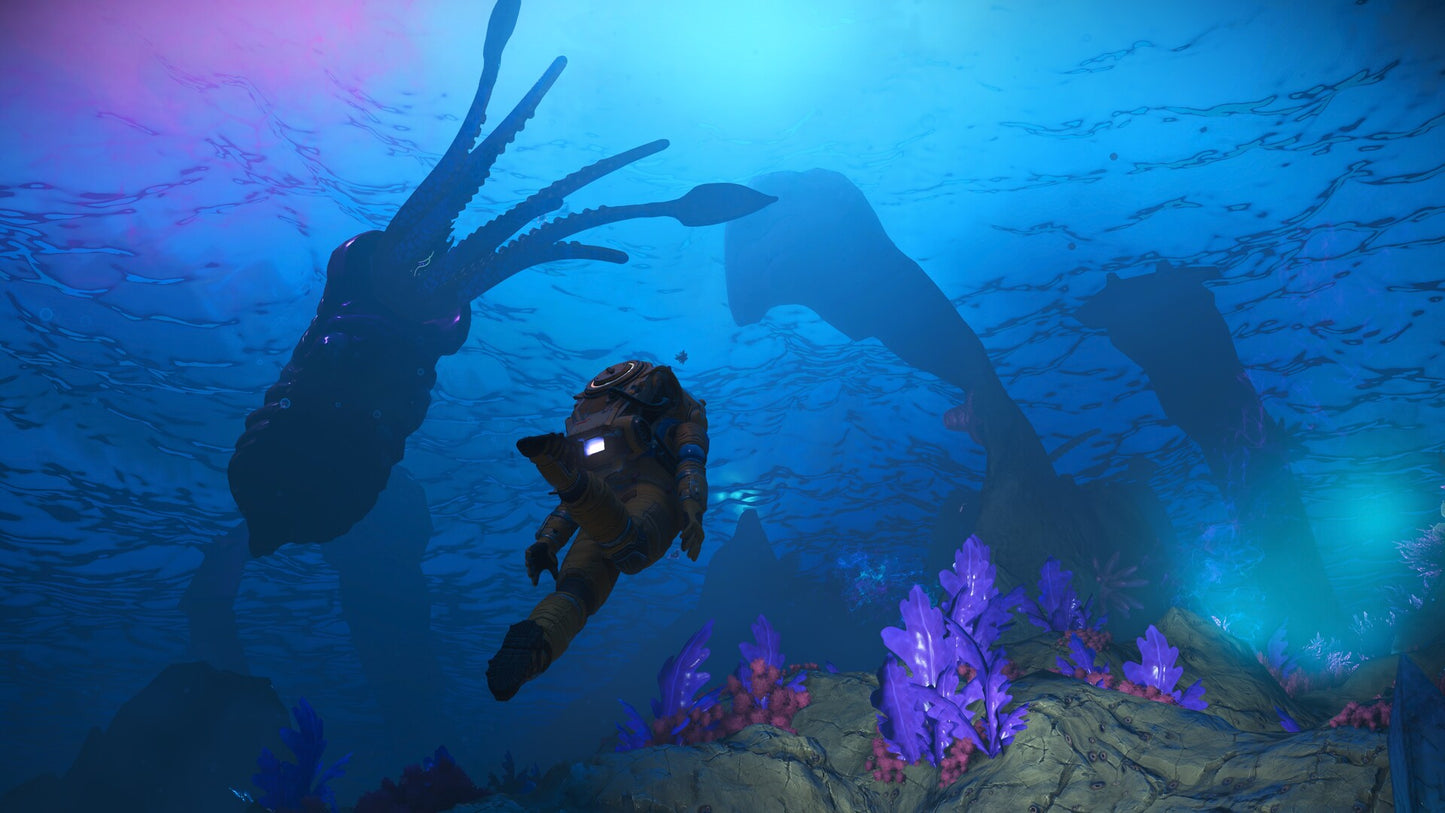 No Man's Sky - Screenshot 5