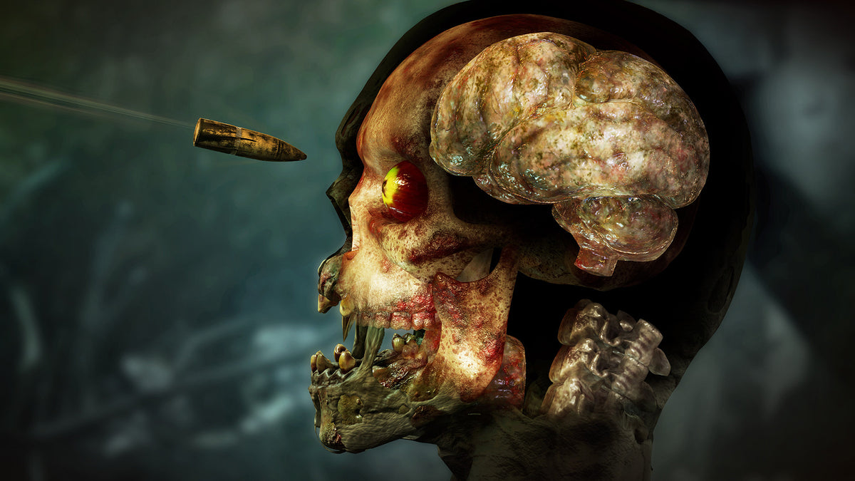 Zombie Army 4: Dead War – Mídia Digital (Steam/PC)
