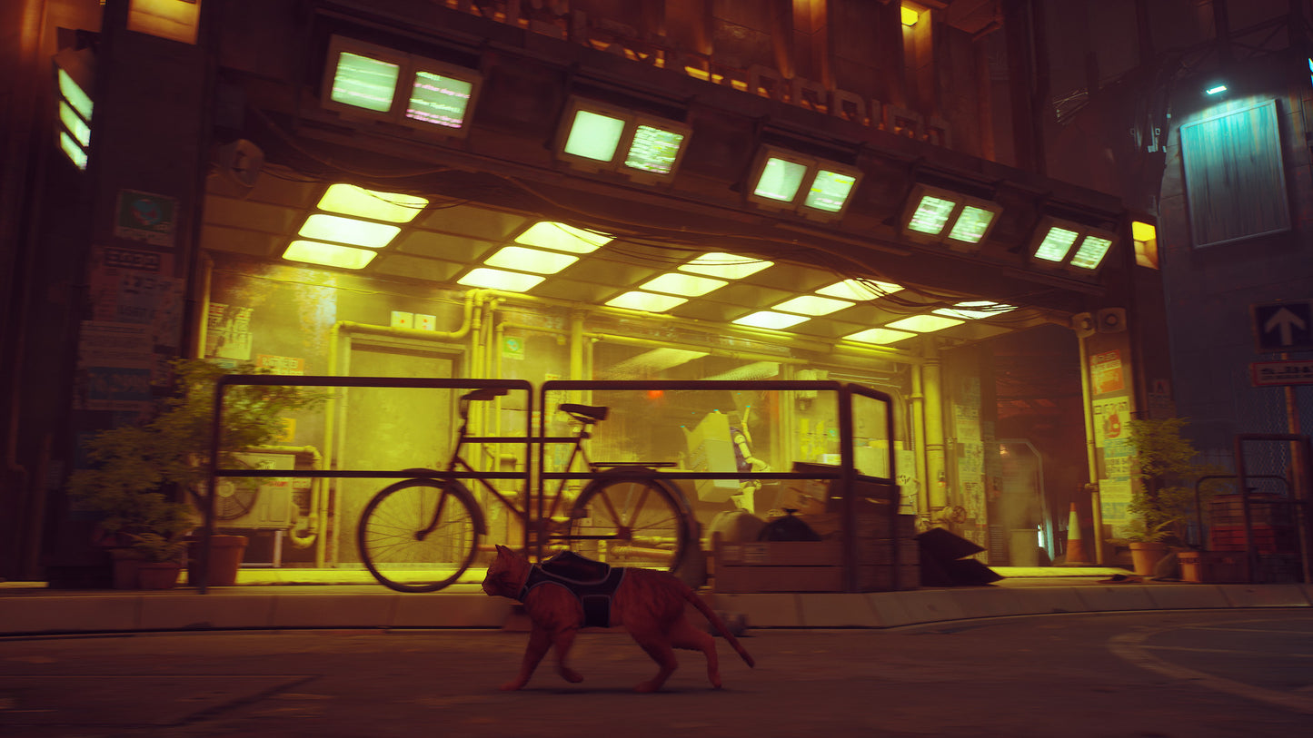 Stray – Mídia Digital (PS4/PS5)