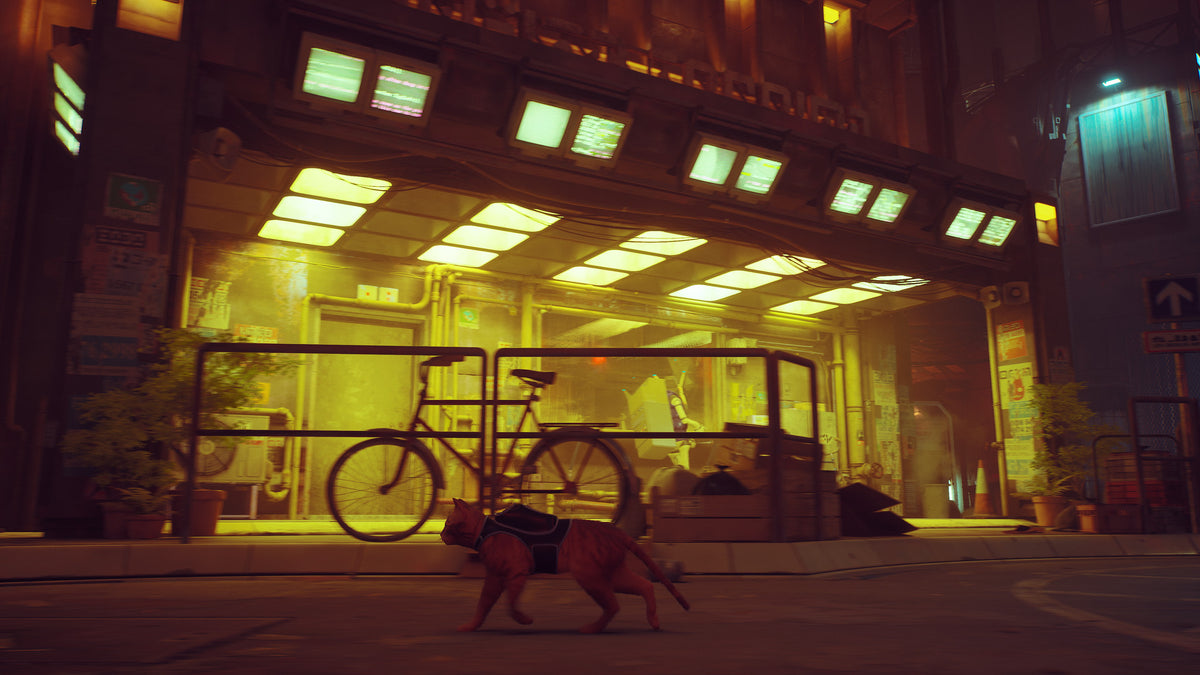 Stray – Mídia Digital (Steam/PC)