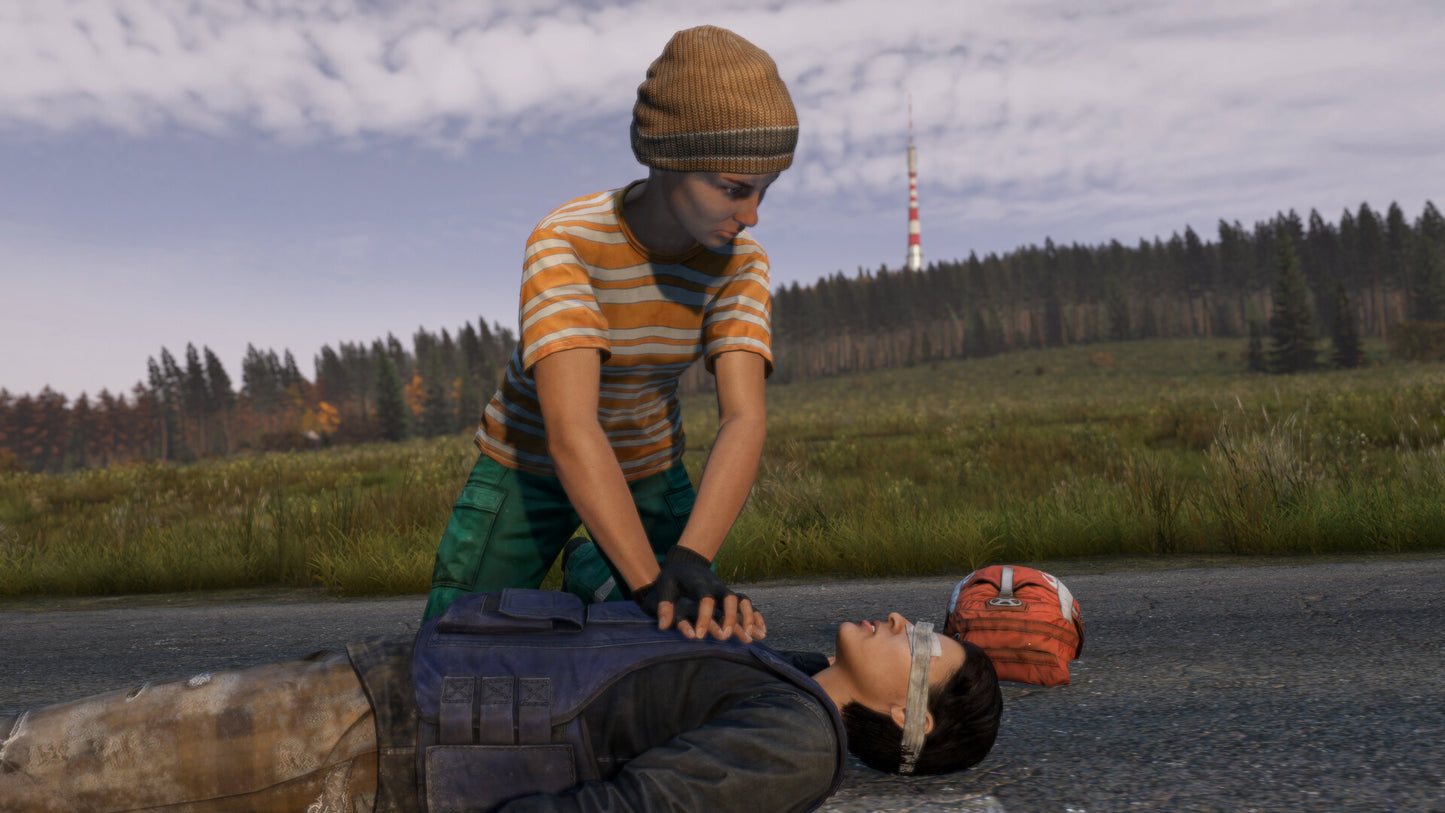 DayZ – Mídia Digital (PS4/PS5)