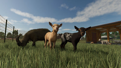 Farming Simulator 25 – Mídia Digital (PS5)