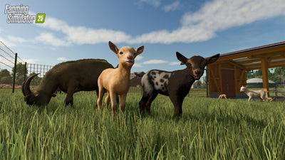 Farming Simulator 25 - Screenshot 4