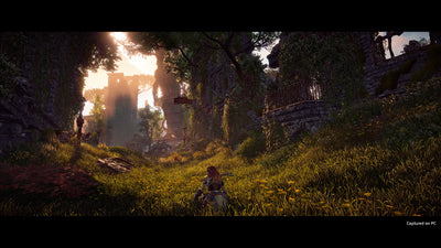 Horizon Zero Dawn - Screenshot 5