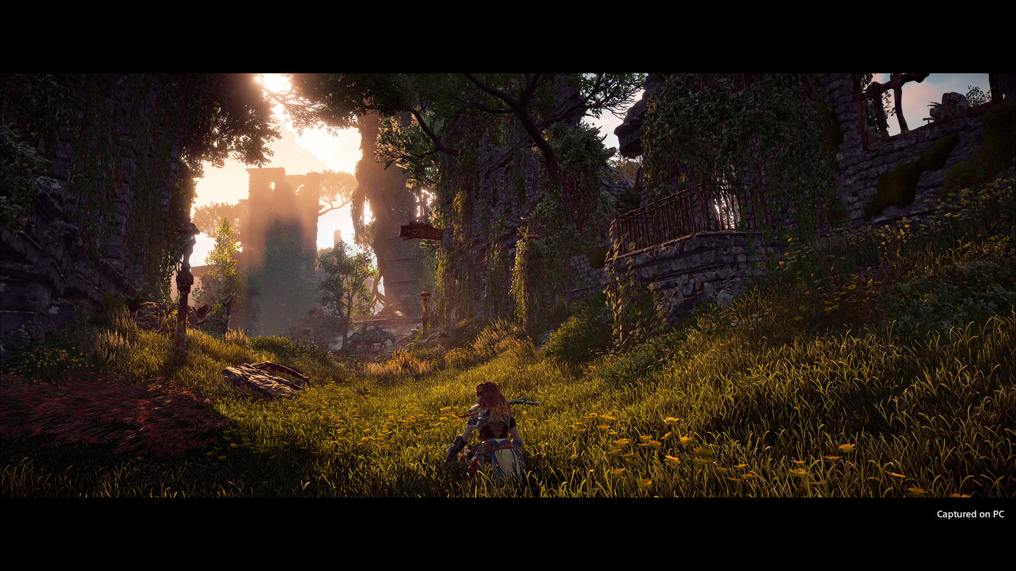 Horizon Zero Dawn - Screenshot 5