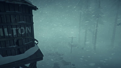The Long Dark – Mídia Digital (Steam/PC)