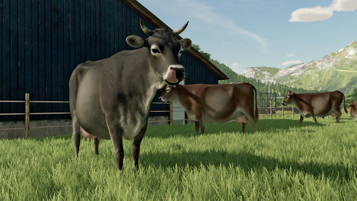 Farming Simulator 22 – Mídia Digital (Steam/PC)