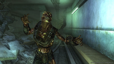 Fallout 3: Game of the Year Edition – Mídia Digital (Steam/PC)