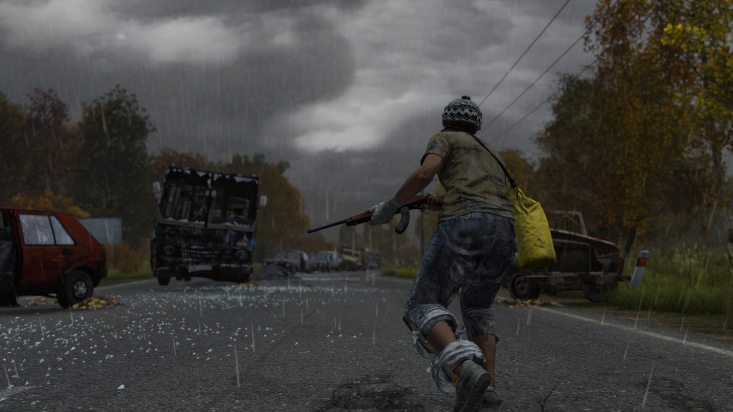 DayZ – Mídia Digital (PS4/PS5)