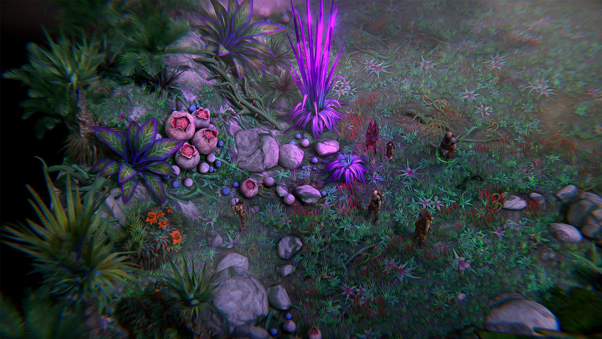 Pathfinder: Kingmaker , Enhanced Plus Edition – Mídia Digital (Steam/PC)