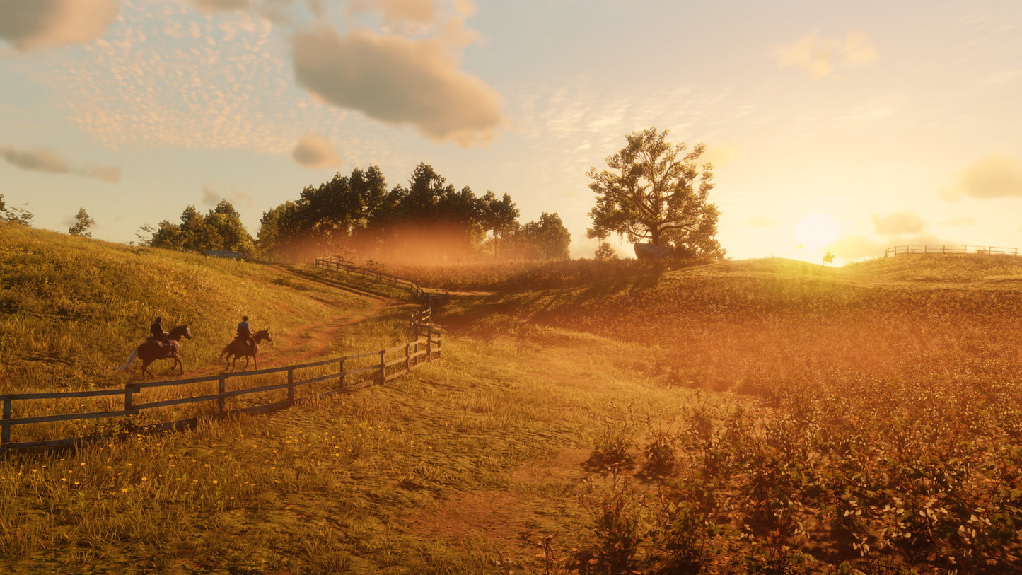 Red Dead Redemption 2 - Screenshot 5