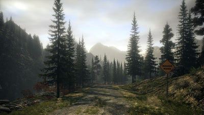 Alan Wake – Mídia Digital (Steam/PC)