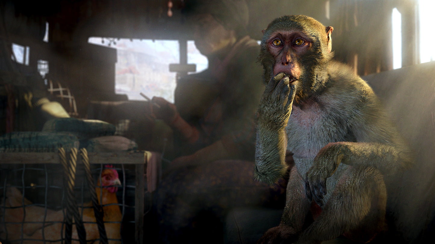 Far Cry® 4 – Mídia Digital (PS4/PS5)