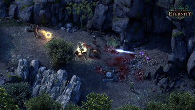 Pillars of Eternity – Mídia Digital (Steam/PC)
