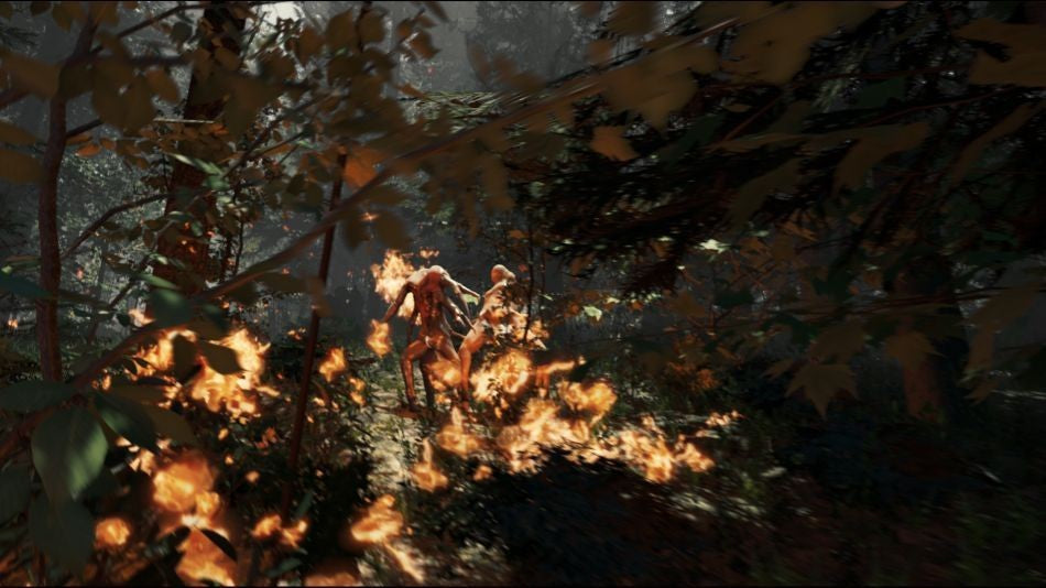 THE FOREST – Mídia Digital (PS4/PS5)