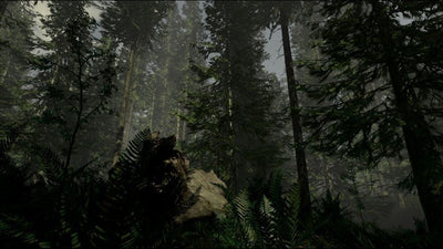 THE FOREST – Mídia Digital (PS4/PS5)