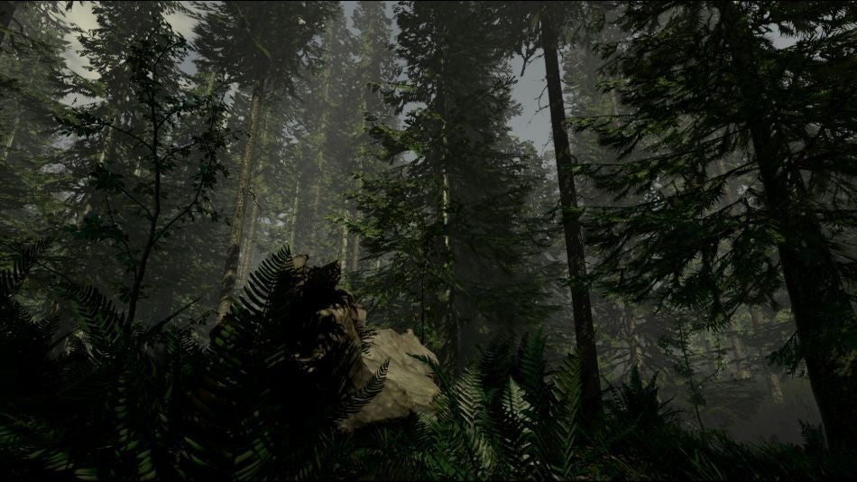 THE FOREST – Mídia Digital (PS4/PS5)